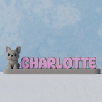 Plaque nominative pour chien