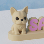 Plaque nominative pour chien