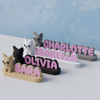 Plaque nominative pour chien